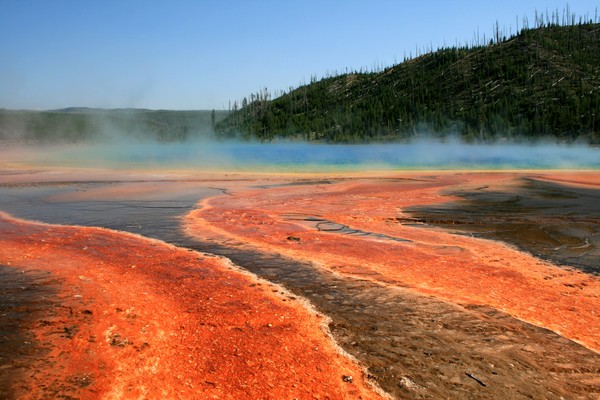 Valley of Geysers