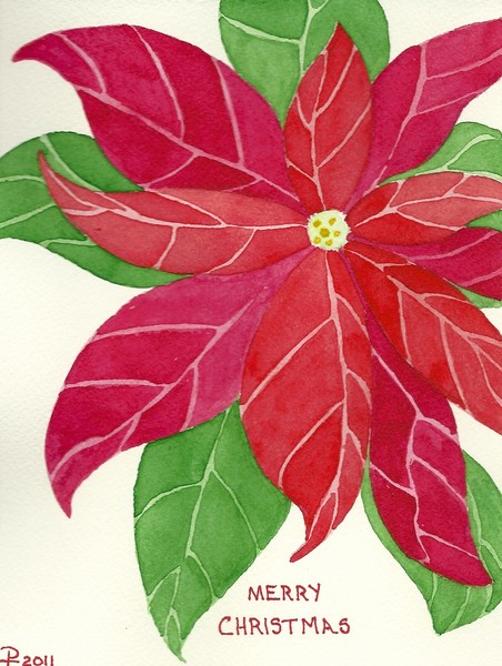 Christmas Poinsettia 2