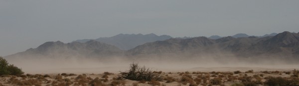 Cali Desert
