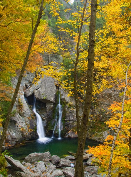 Autumn Splendor