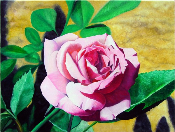 Little Pink Rose