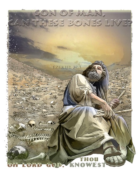 Valley of Dry Bones