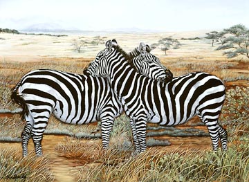 Napping in the Masai Mara