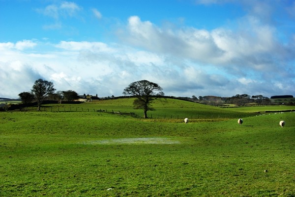 Countryside