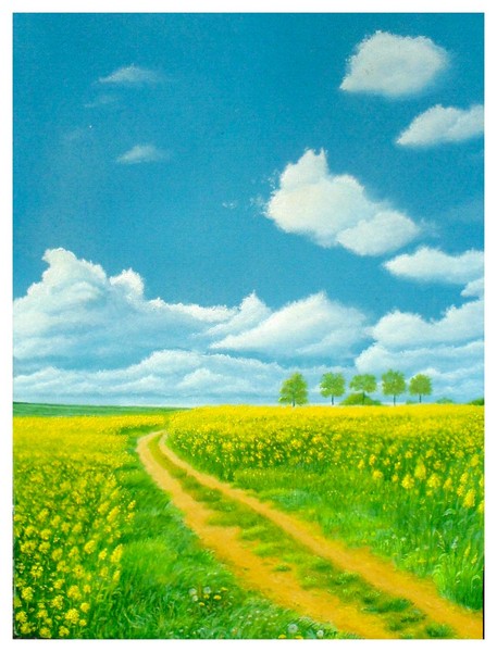 Summer Landscape