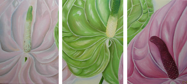 Anthurium Triptych