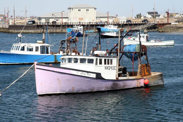 Lobster/Fishing Boat