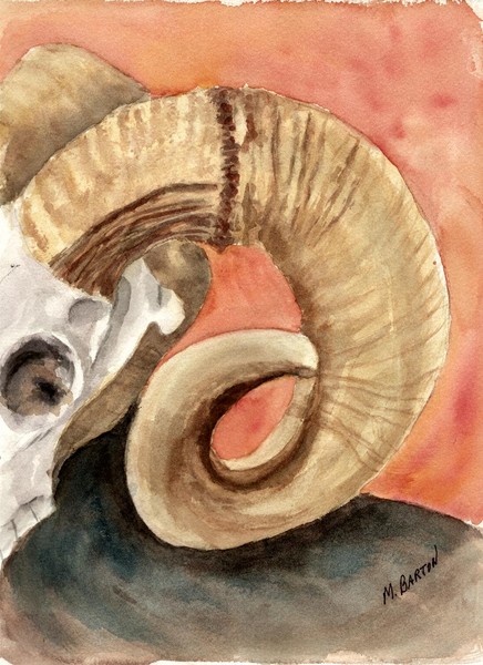 Skull 1