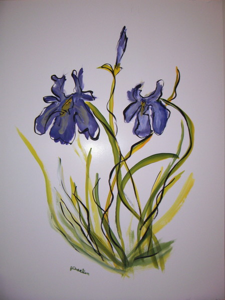 Iris