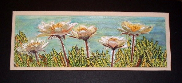 Mountain Avens