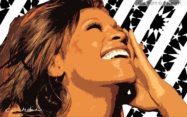 2012 whitney houston