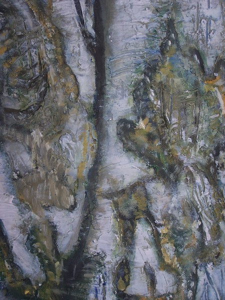 silver birch
