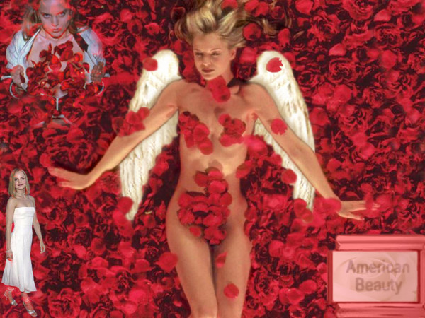 american angel
