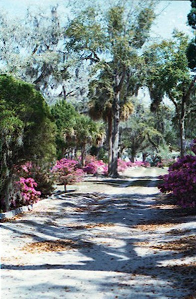 Long and Winding Road