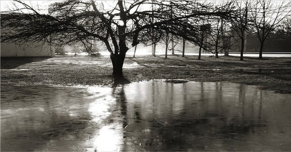 Zero Celsius Three