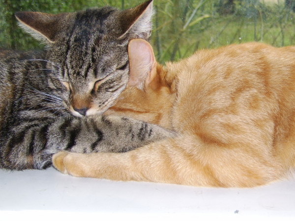 real love