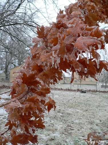 Ice Storm