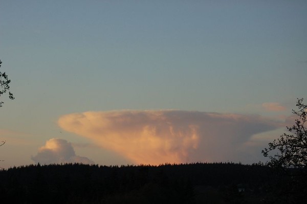 anvil cloud at sunset