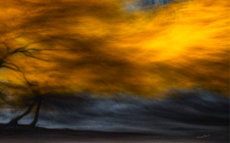 Fire Burns Wind Blows