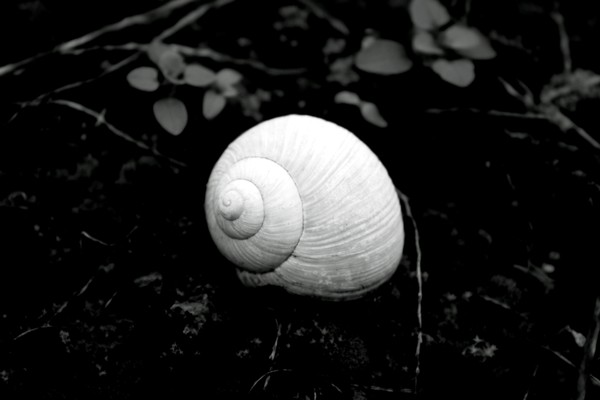 Abandoned