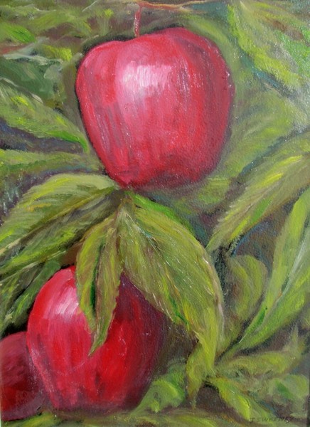 Fruit.