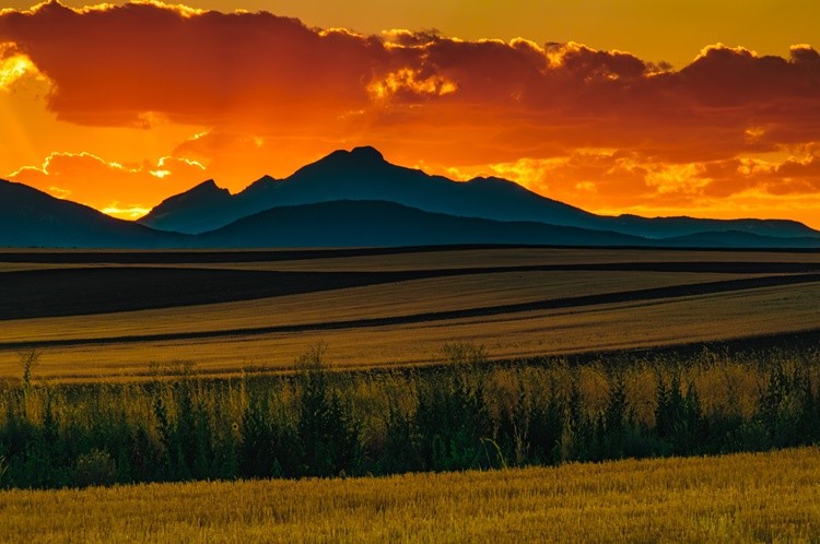 Sunset Lines