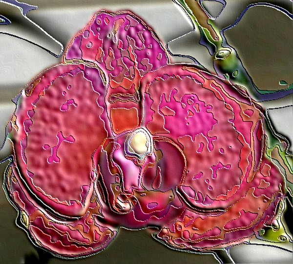 Enamel Orchid