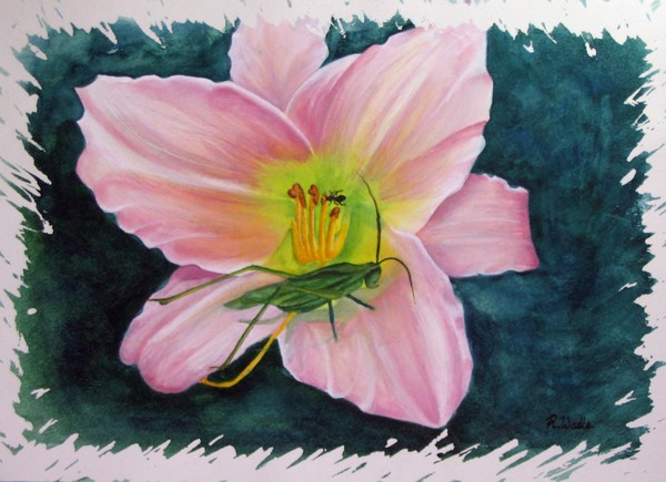 Lilly vs the Ant & Grasshopper