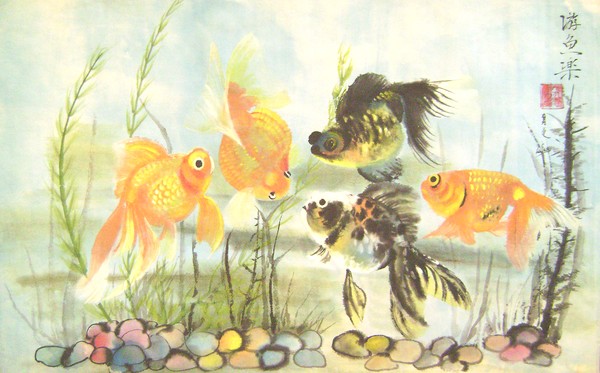 black and goldfish meeting