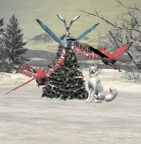 The holidays with the wild.