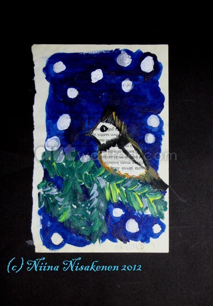 Blue tit bird