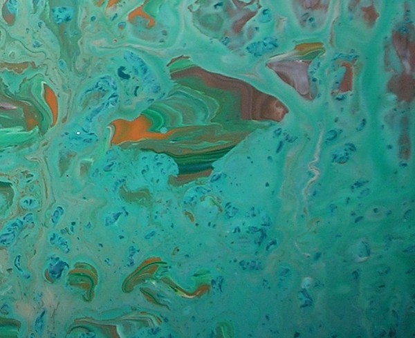 Tropical Fish