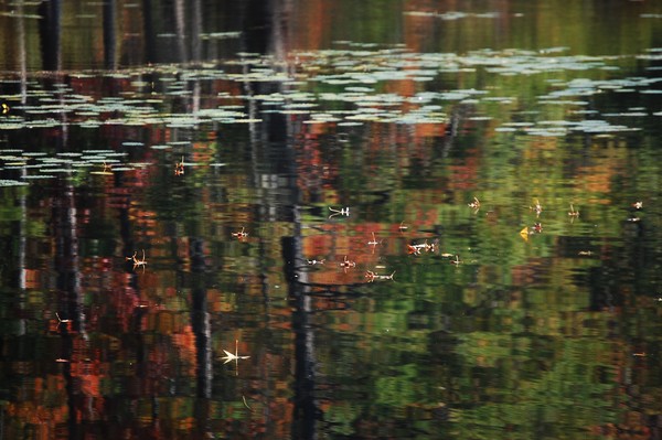reflecting
