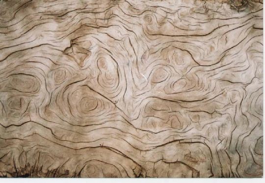 wood 