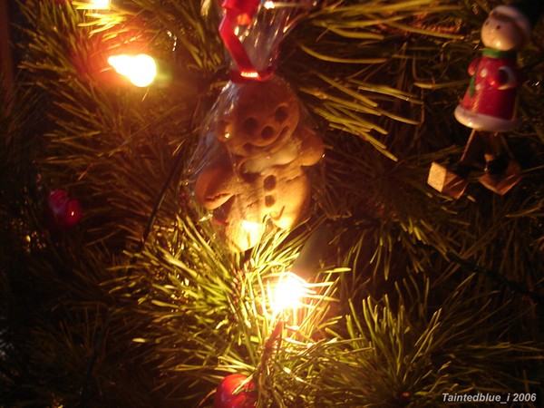 Gingerbread At Christmas