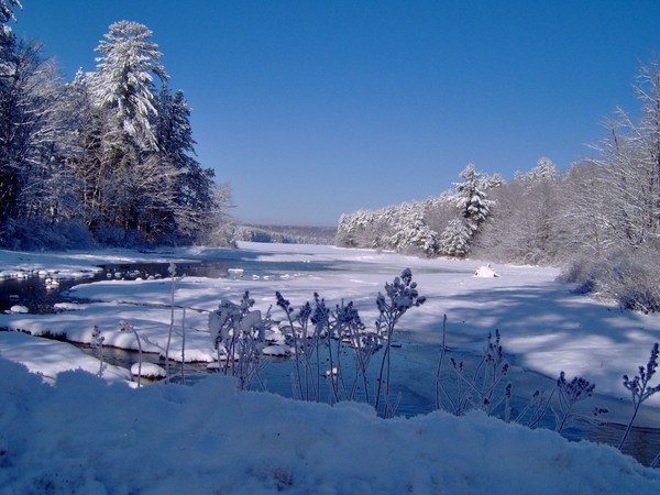 Winter cove