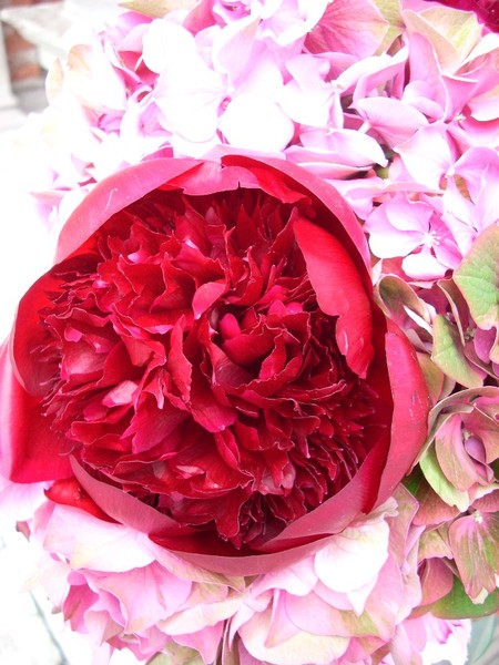Bouquet