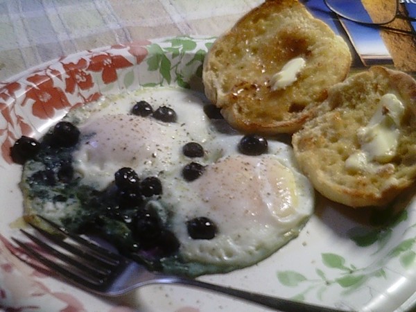 Blueberries 'n' Eggs