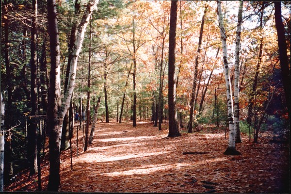 walden_pound_2