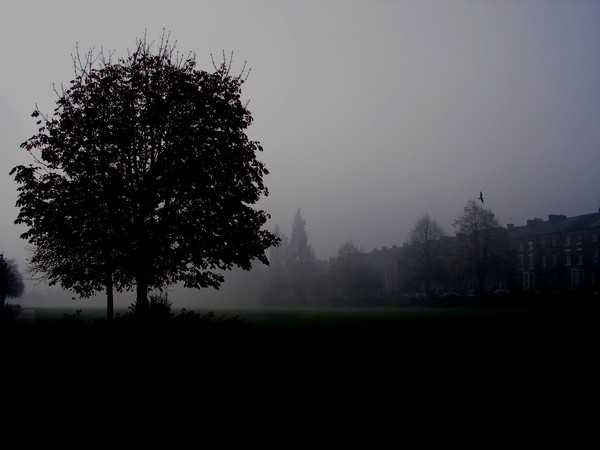 The Early bird