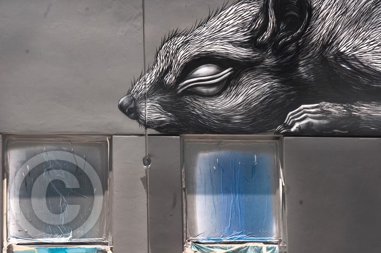 Mouse on the buidling