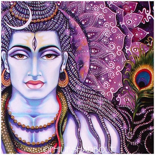 SHIVA NOVA (excerpt)