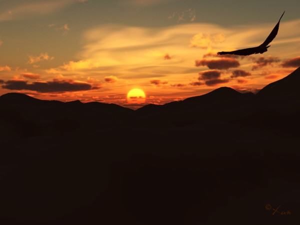 Freedom