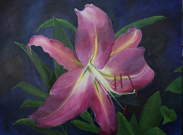 A Day Lily