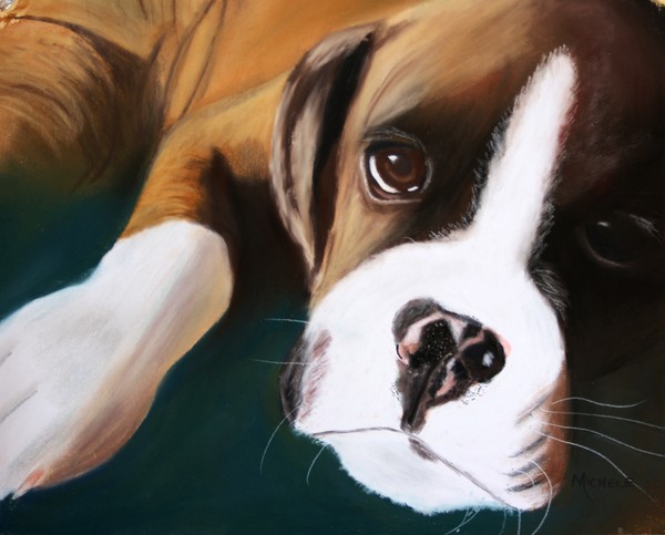 Boxer