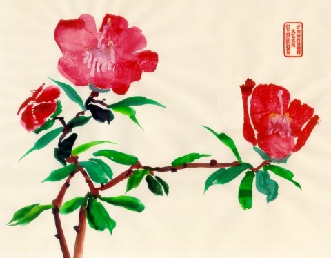 Oriental Peonies