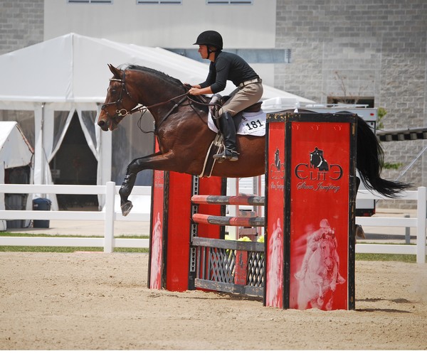 Jacksonville horse show
