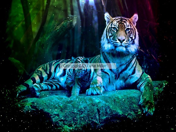purrrfect love 2