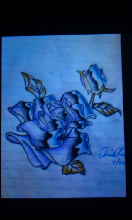 steel rose