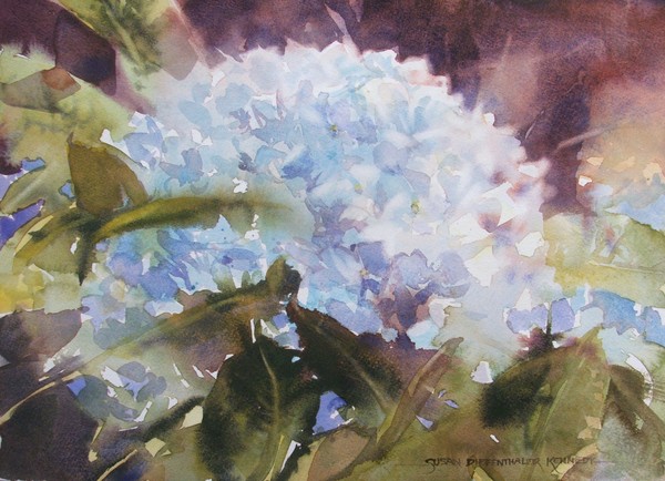 Wishful Hydrangea Study
